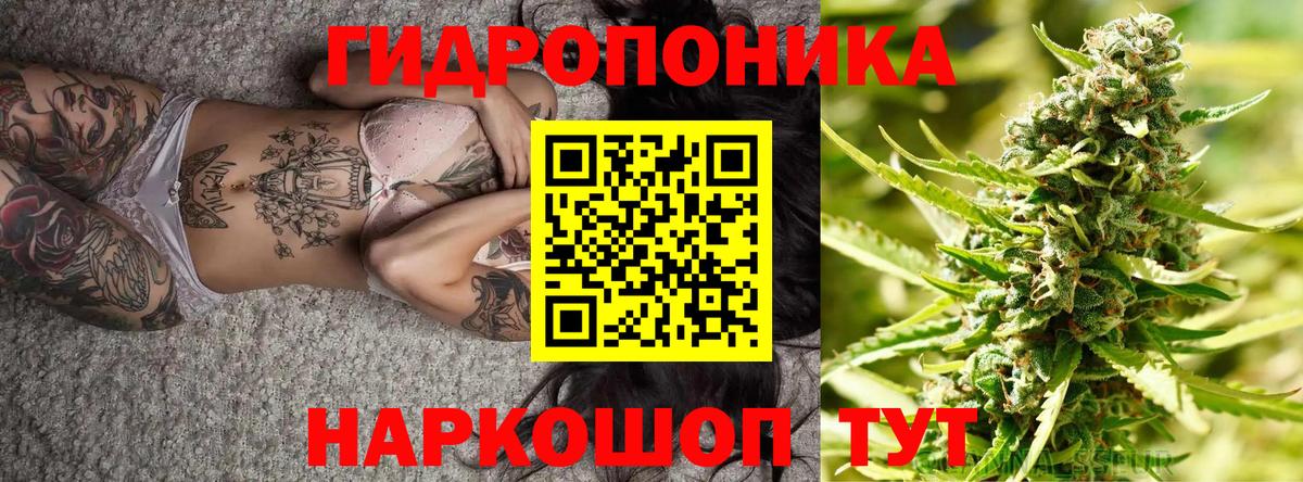 Шишки марихуана AK-47  Шишки марихуана SATIVA & INDICA  Вход с VPN  Богданович  Бошки марихуана конопля  Шишки марихуана Amnesia 